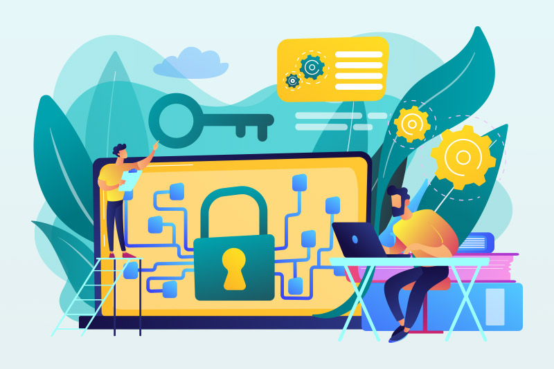 Success for Compliance and Efficiency: The Role of IT Policy
